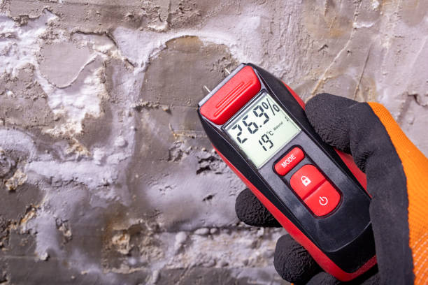 Attic Mold Removal in Oxford, MS
