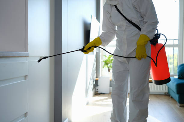 Best Mold Testing  in Oxford, MS