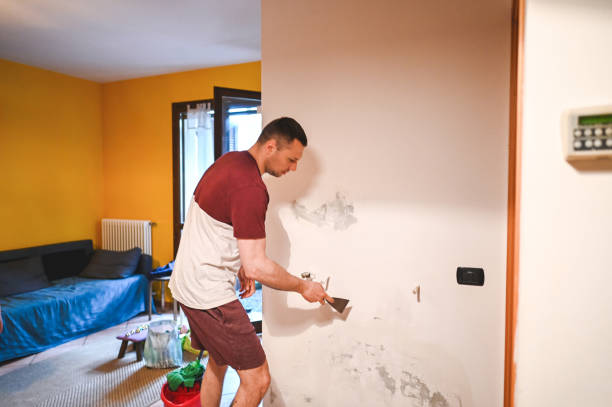 Best Toxic Mold Removal  in Oxford, MS